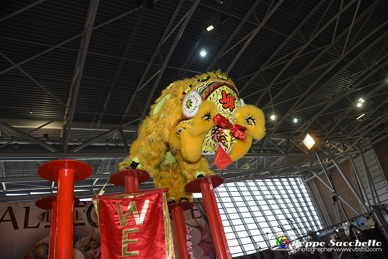 VBS_8975 - Festival dell'Oriente 2023.jpg